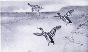Hacia el mar